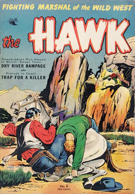 The Hawk comic #8. Click for values